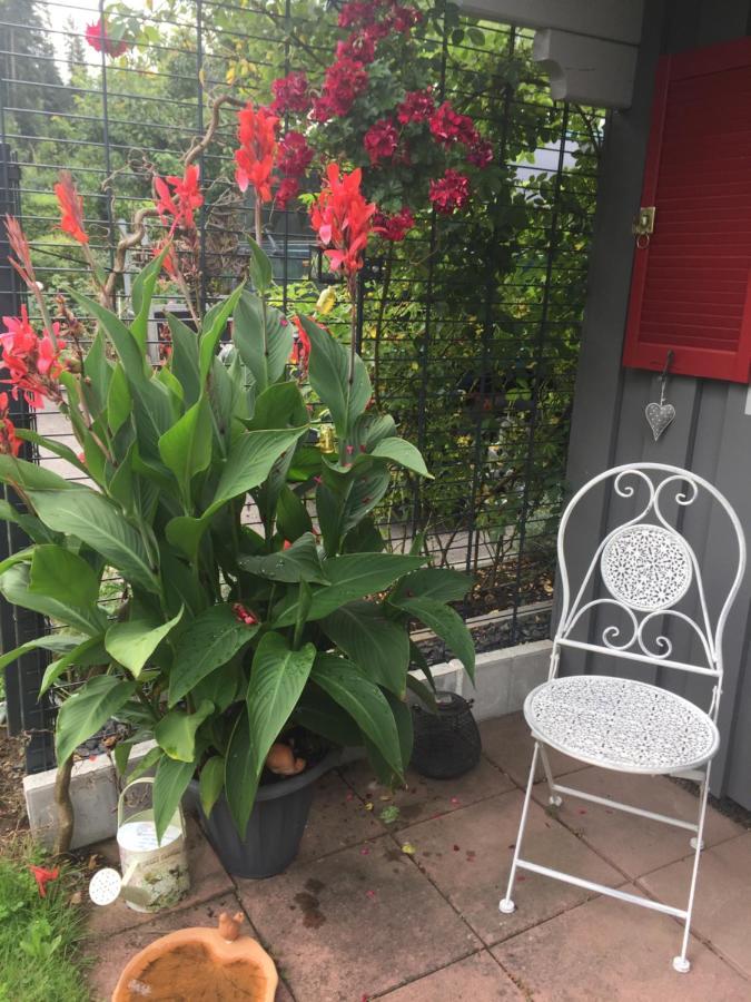 Ferienwohnung Pusteblume アルピルスバッハ エクステリア 写真
