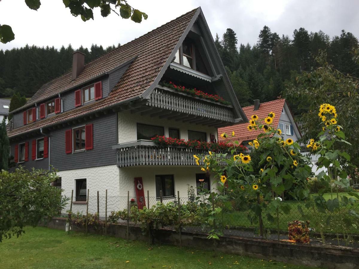 Ferienwohnung Pusteblume アルピルスバッハ エクステリア 写真